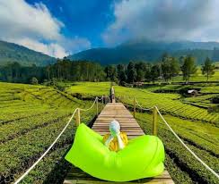 Potensi Pariwisata Berbasis Alam Indonesia 2025: Antara Keindahan dan Keberlanjutan